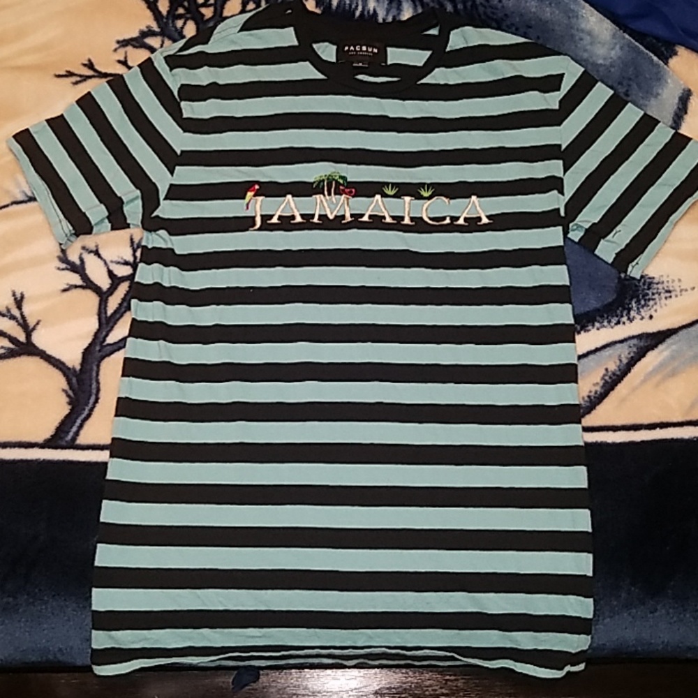 PacSun Black Striped Short Sleeve Aqua Shirt